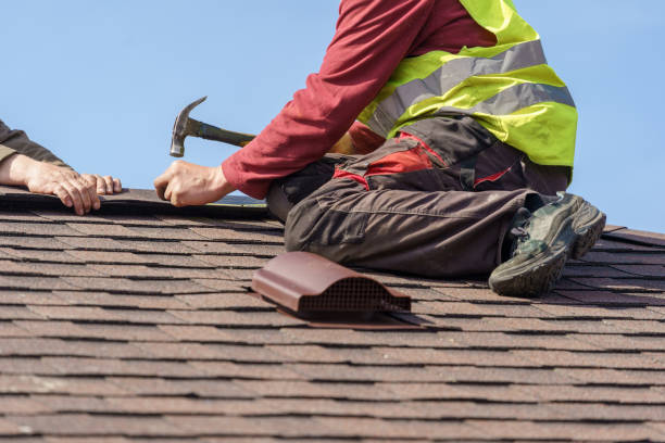 Best Roof Leak Repair  in Lukachukai, AZ