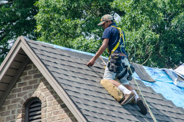 Best Best Roofing Contractors  in Lukachukai, AZ